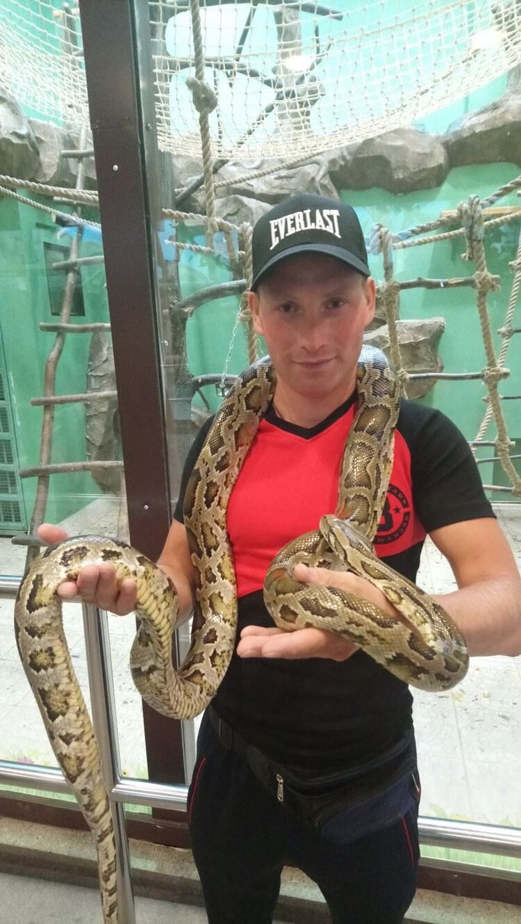 ���������� �����, ���� ������� ����, 40 ���, ������������ ��� ������, ����� � ���������, c�������� ���������