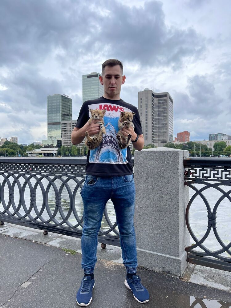 ���� 46868125 ������� ������, 31 ���, ���� ���������� � ������