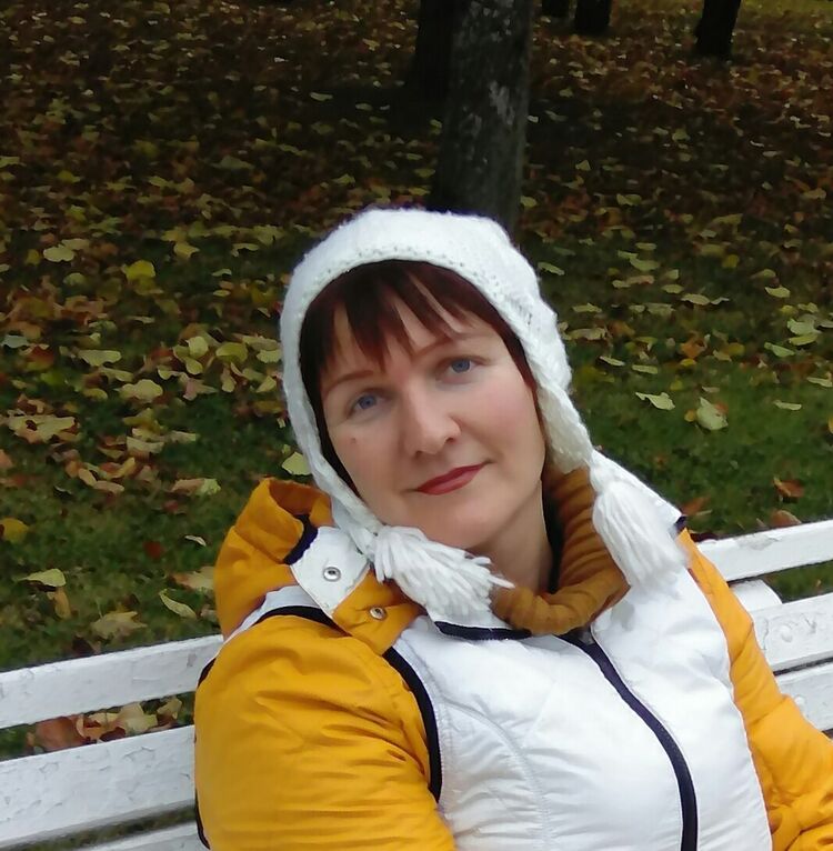  8501645  , 50 ,    -