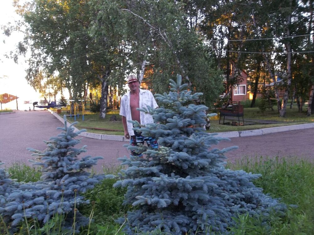  21732635  , 53 ,    -