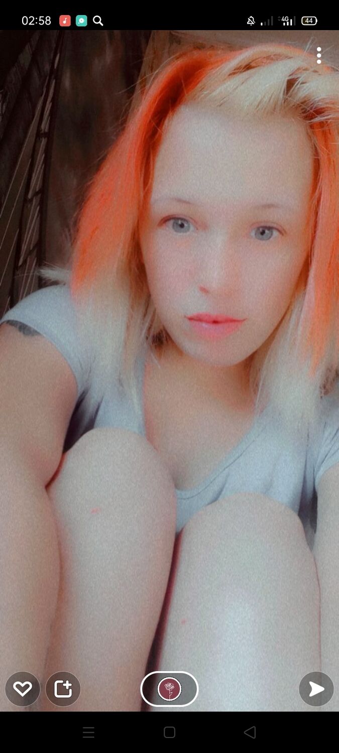  28268985  , 25 ,    