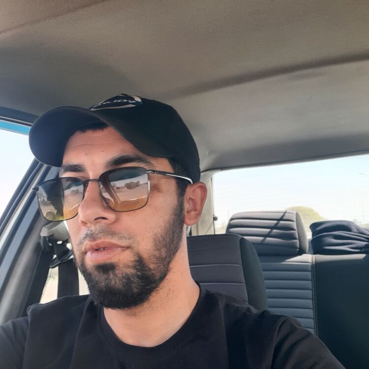  43134175  , 31 ,    