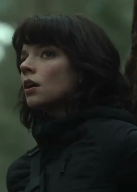 ���� 56218005 ������� ����, 40 ���, ���� ���������� � �����