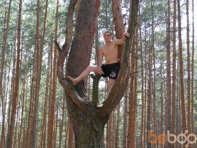 ���������� ������, ���� ������� ����, 38 ���, ������������ 