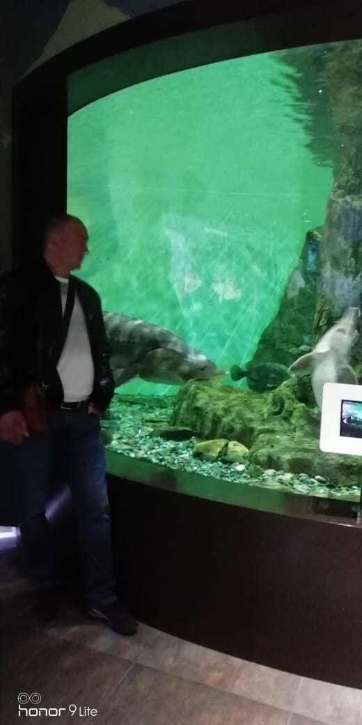 ���� 19729495 ������� Kostia, 51 ���, ���� ���������� � ����-����������