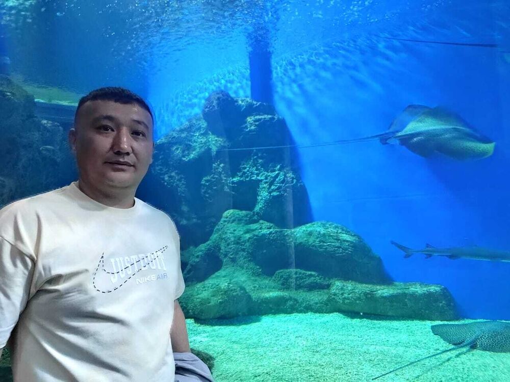 ���������� ���������, ���� ������� ������, 40 ���, ������������ ��� ������, ���������