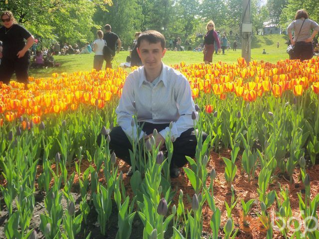 ���������� ����, ���� ������� ����, 47 ���, ������������ ��� ������, ����� � ���������, c�������� ���������