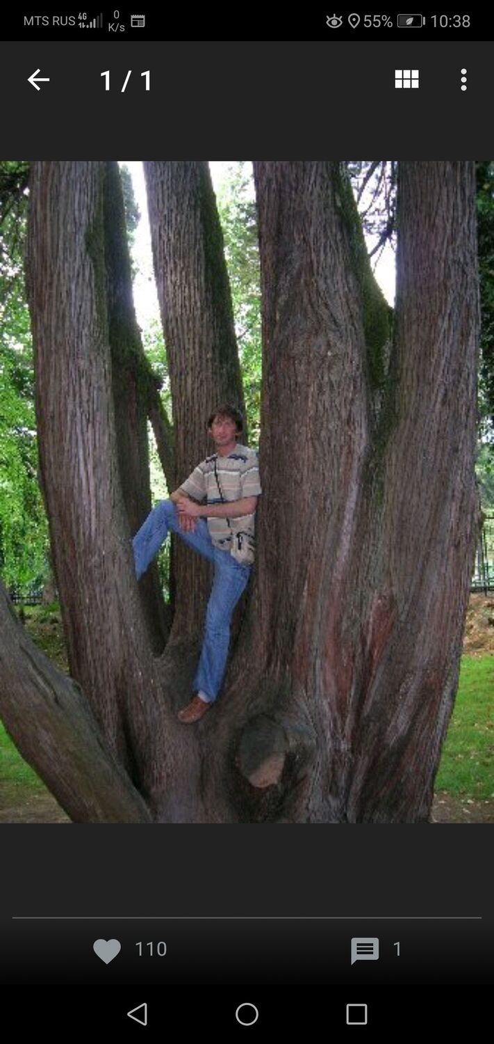 ���������� ���������, ���� ������� ����, 46 ���, ������������ ��� ������, ����� � ���������