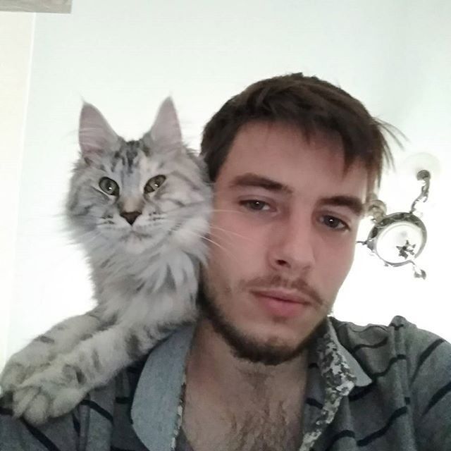 ���������� �����-���������, ���� ������� �����, 29 ���, ������������ ��� ������, ����� � ���������, c�������� ���������