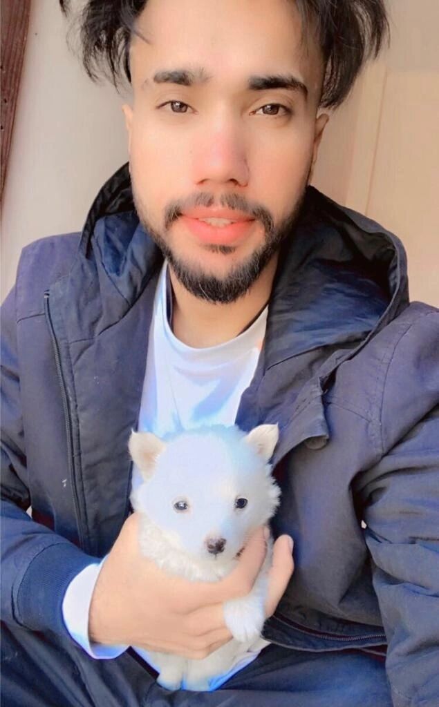 ���� 37253525 ����� Goldy, 25 ���, ���� ���������� � ������