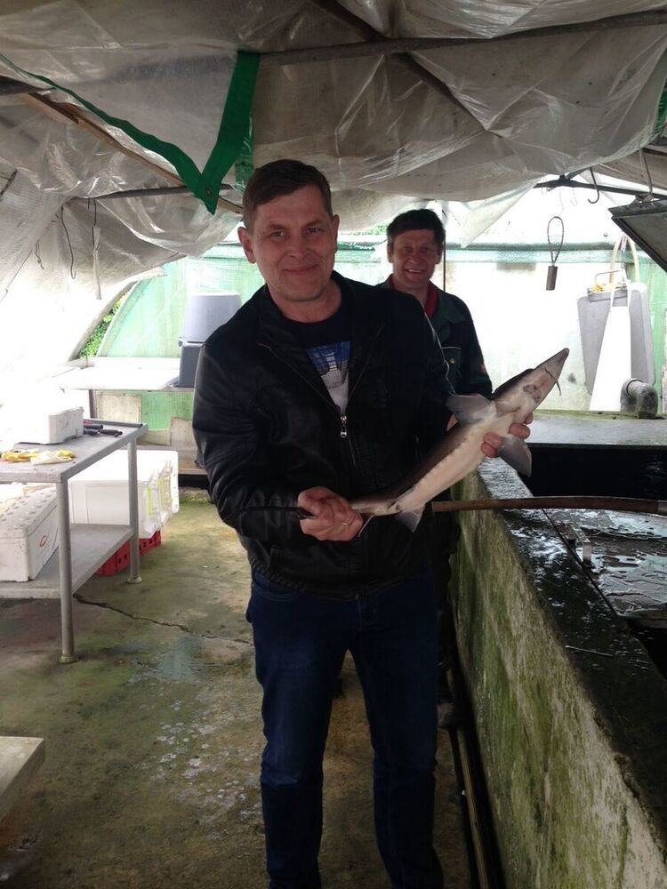 ���� 21023315 ������� �������, 51 ���, ���� ���������� � ����������