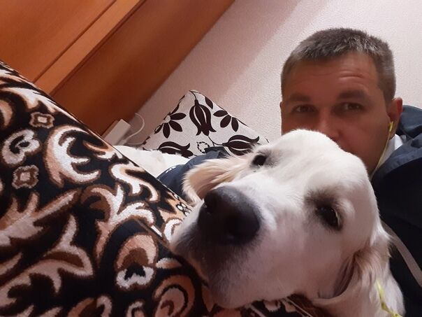 ���������� ���������, ���� ������� ������, 36 ���, ������������ ��� ������, ����� � ���������, c�������� ���������, ���������