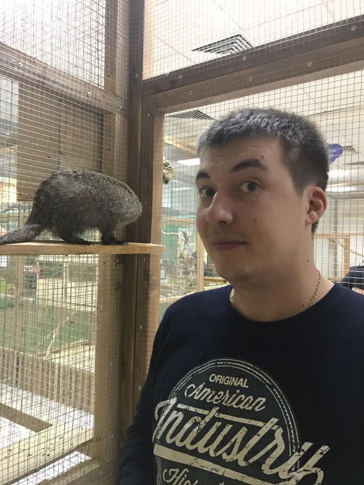 ���������� �����, ���� ������� ����, 37 ���, ������������ ��� ������, ����� � ���������, c�������� ���������