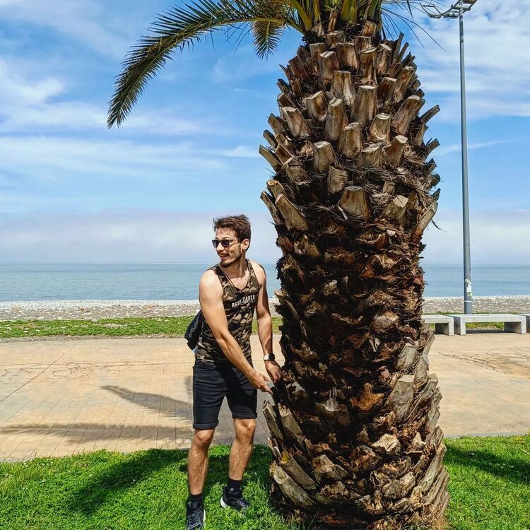  Warszawa,   Mihail, 31 ,   ,   