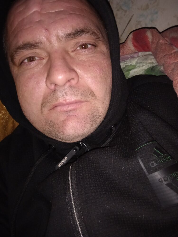  31308375  , 36 ,    