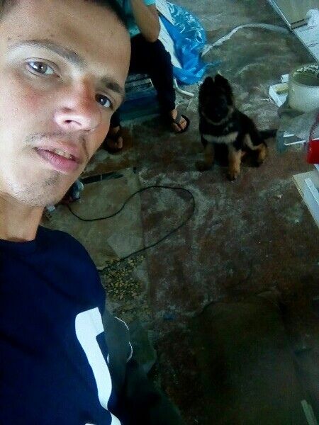 ���� 40836225 ������� ��������, 29 ���, ���� ���������� � ������