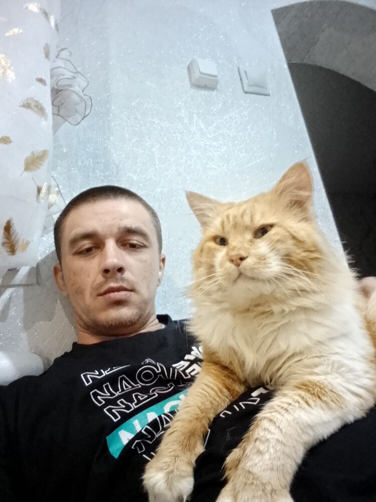 ���� 55058105 ������� �����, 32 ����, ���� ���������� � ����������