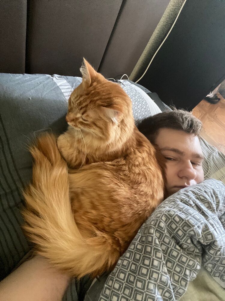 ���������� ��������, ���� ������� ������, 29 ���, ������������ ��� ������, ����� � ���������, c�������� ���������