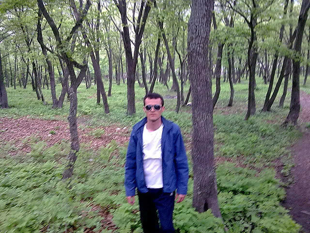 ���������� ������, ���� ������� MS, 43 ����, ������������ ��� ������, ����� � ���������, c�������� ���������