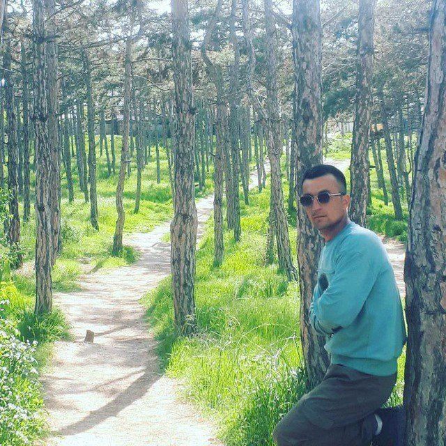 ���������� �����������, ���� ������� �����, 31 ���, ������������ ��� ������, ����� � ���������, ���������