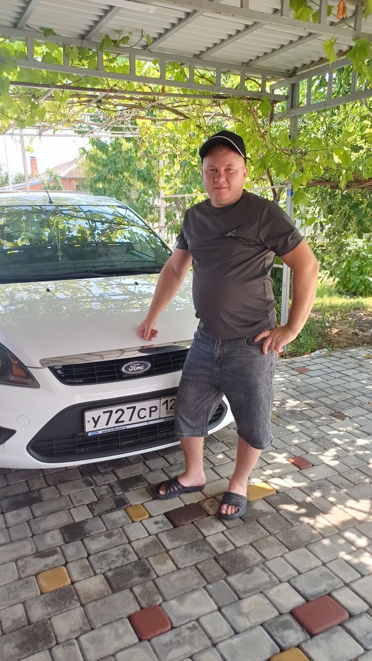  53156315  , 29 ,    