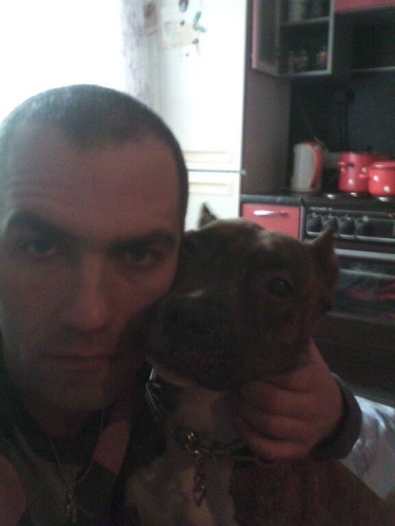 ���������� ������ �����, ���� ������� �����, 43 ����, ������������ ��� ������, ����� � ���������, c�������� ���������