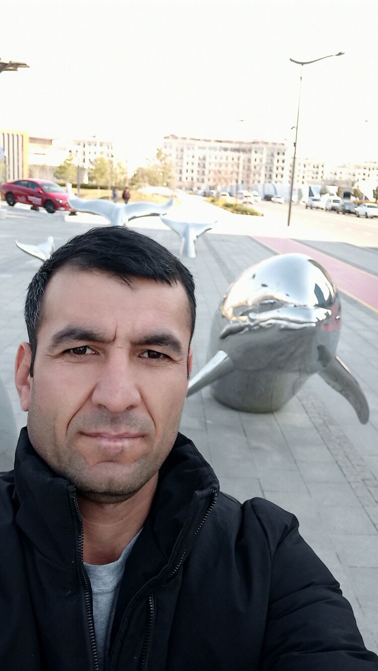  -,   , 43 ,   ,   