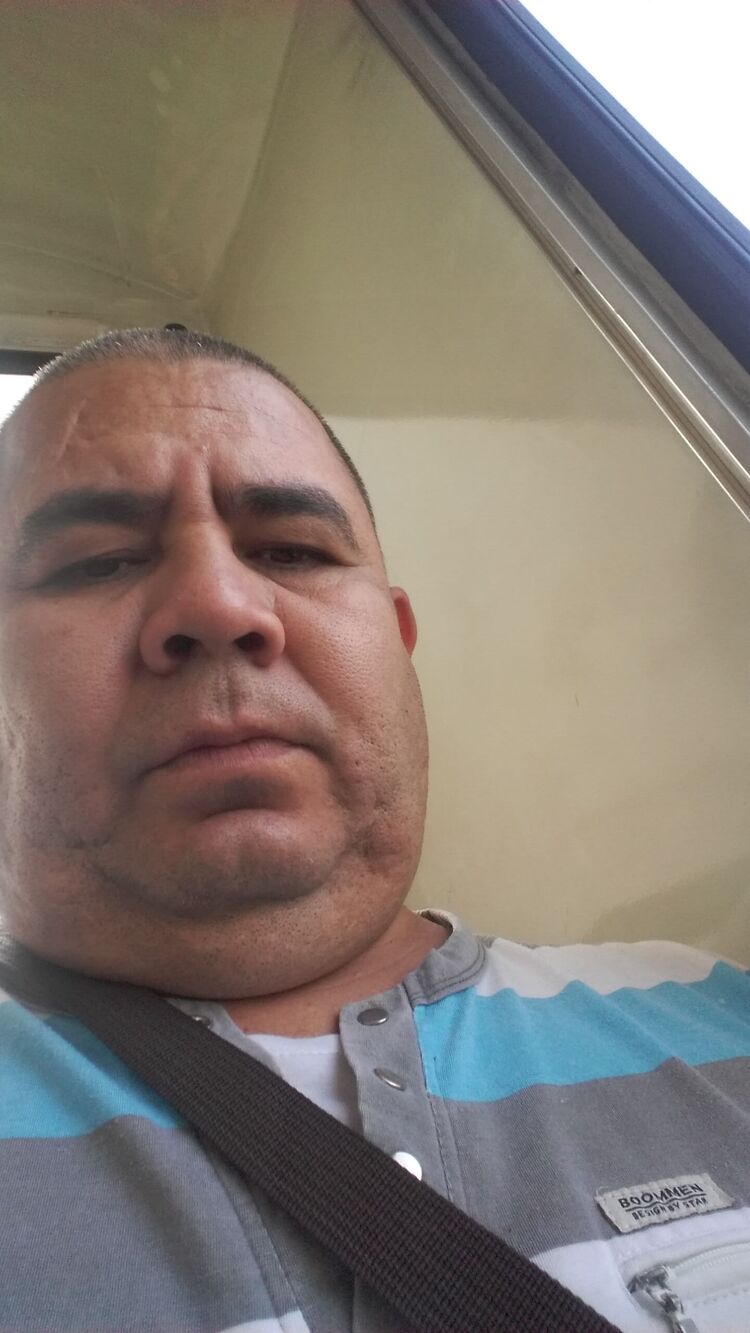  23369255  , 43 ,    