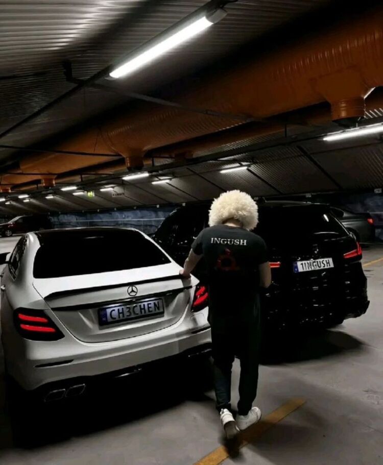 ���� 55169725 ����� Maga, 24 ����, ���� ���������� � ���������