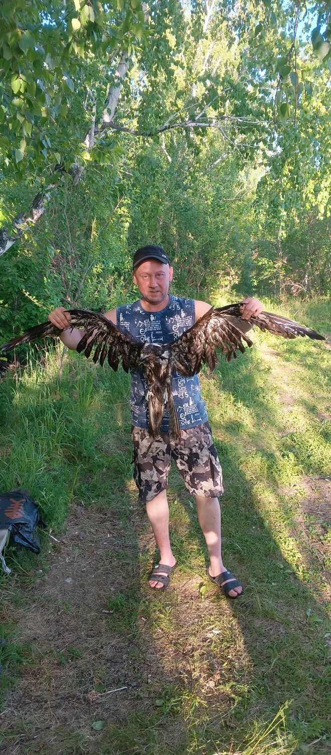 ���� 55375775 ������� Denis, 43 ����, ���� ���������� � �������������