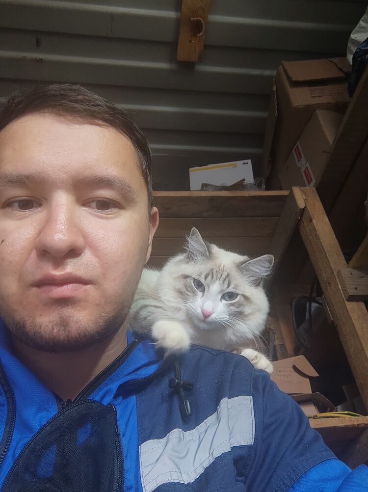 ���� 37756185 ������� ������, 29 ���, ���� ���������� � ������