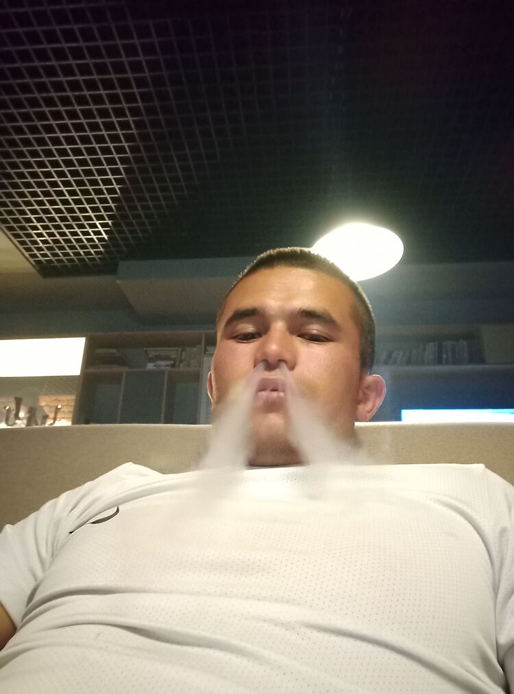  28124105  , 29 ,    