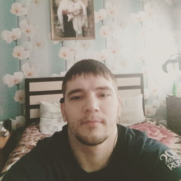  14946565  , 31 ,    