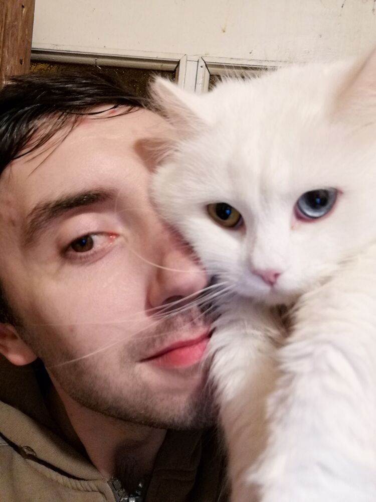 ���������� ����, ���� ������� ������, 35 ���, ������������ ��� ����� � ���������, c�������� ���������