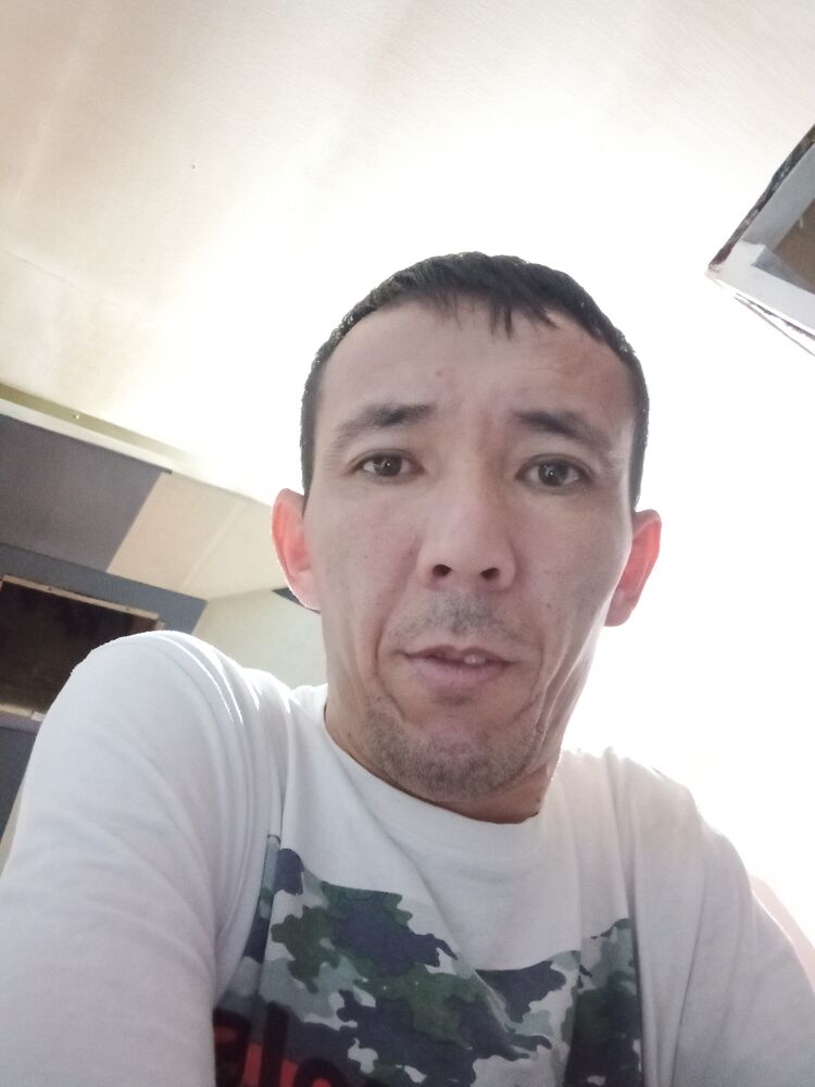  40198615  , 38 ,    