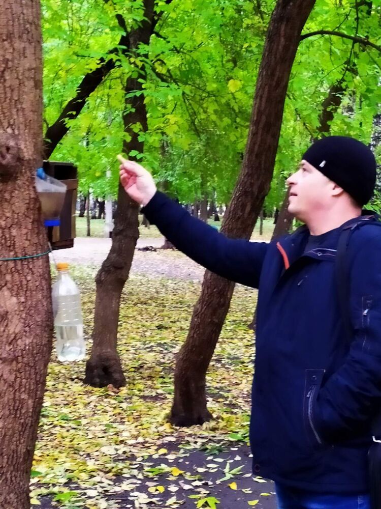 ���������� �������, ���� ������� �������, 47 ���, ������������ ��� c�������� ���������