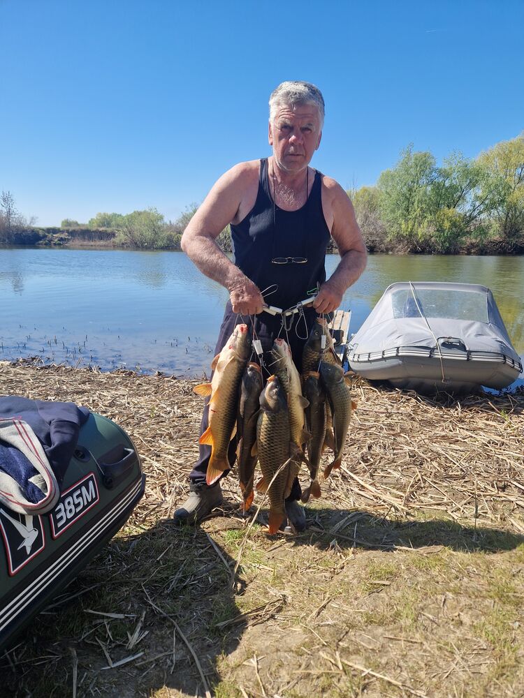 ���������� �������, ���� ������� �������, 69 ���, ������������ ��� ������, ����� � ���������, c�������� ���������