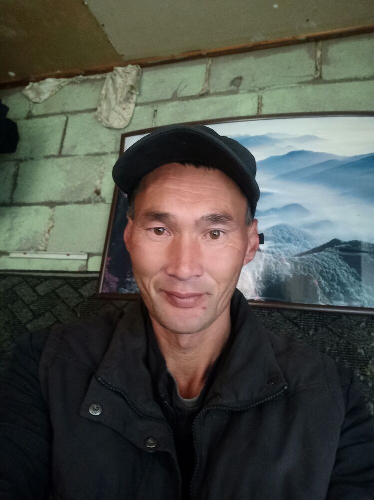  51338065  , 46 ,    