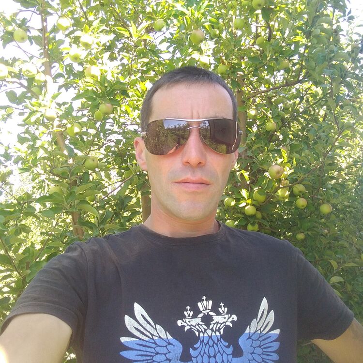 ���������� ��������, ���� ������� ��������, 38 ���, ������������ ��� ������, ����� � ���������