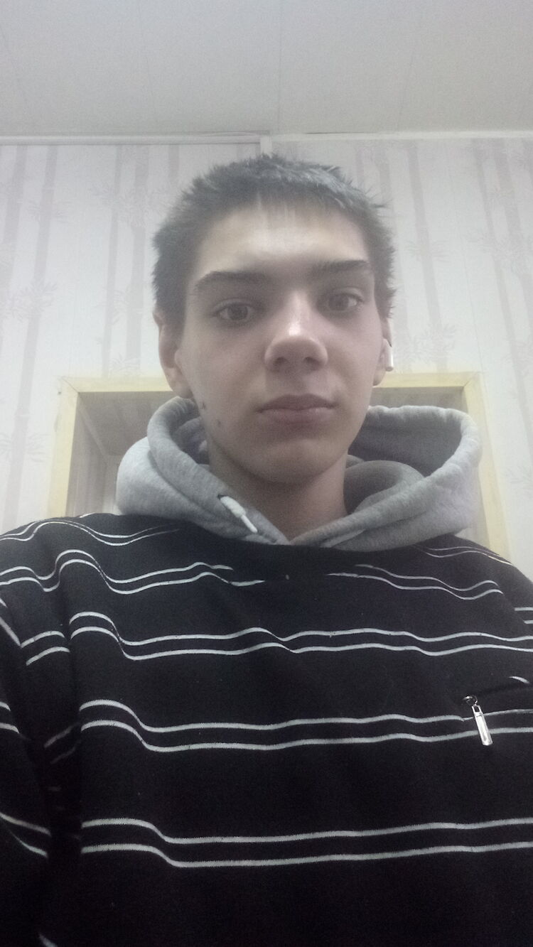  41767495  , 20 ,    