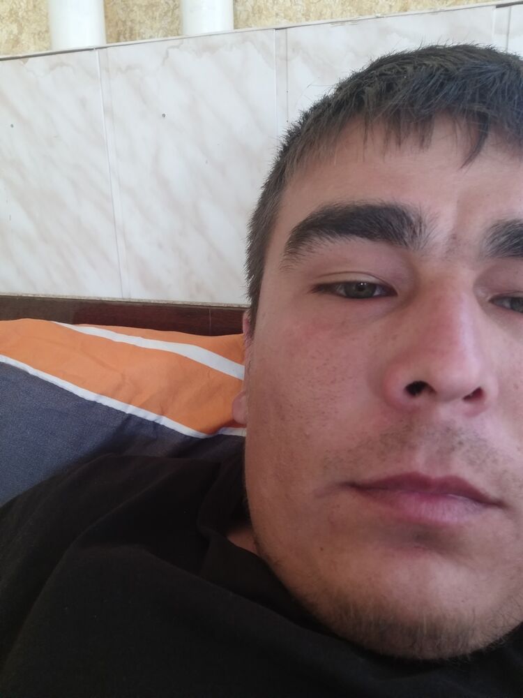  35155605  , 31 ,    