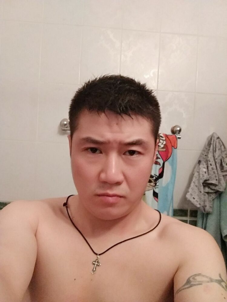  15685195  , 41 ,    