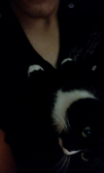 ���� 8017095 ������� ������, 27 ���, ���� ���������� � ������