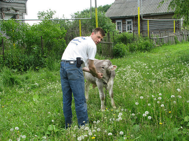 ���������� ������ ��������, ���� ������� �����, 50 ���, ������������ ��� ������, ����� � ���������, c�������� ���������