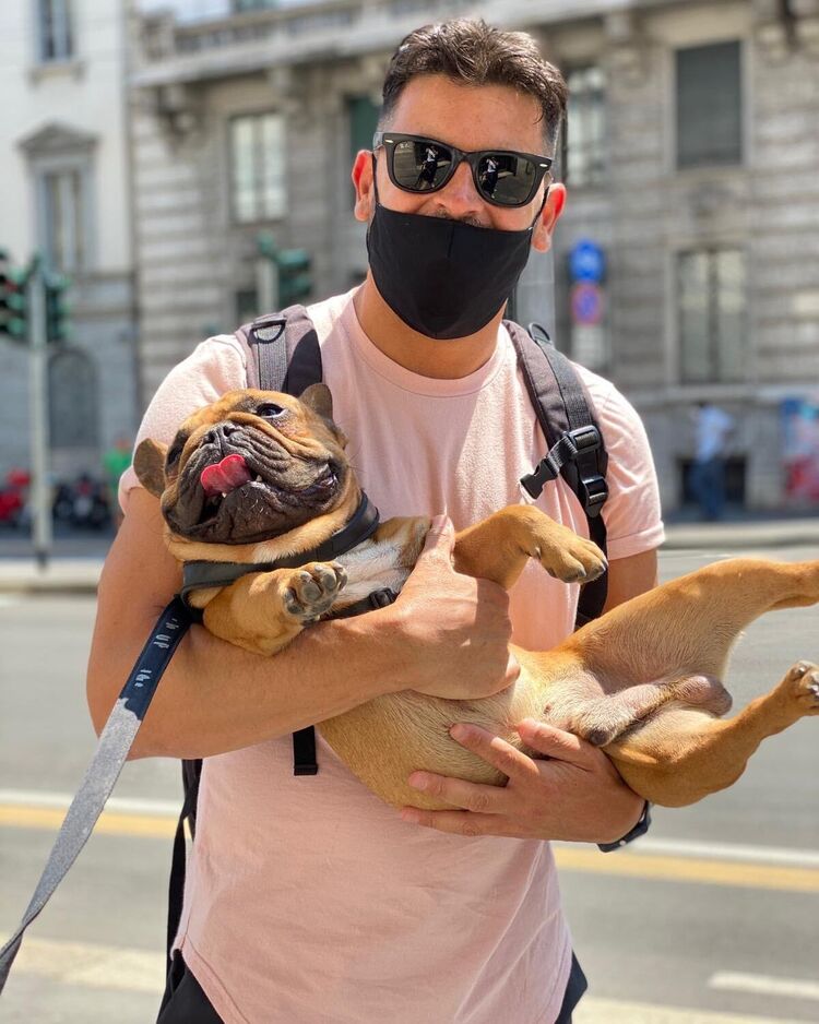 ���������� ������, ���� ������� �����, 38 ���, ������������ ��� ������, ����� � ���������