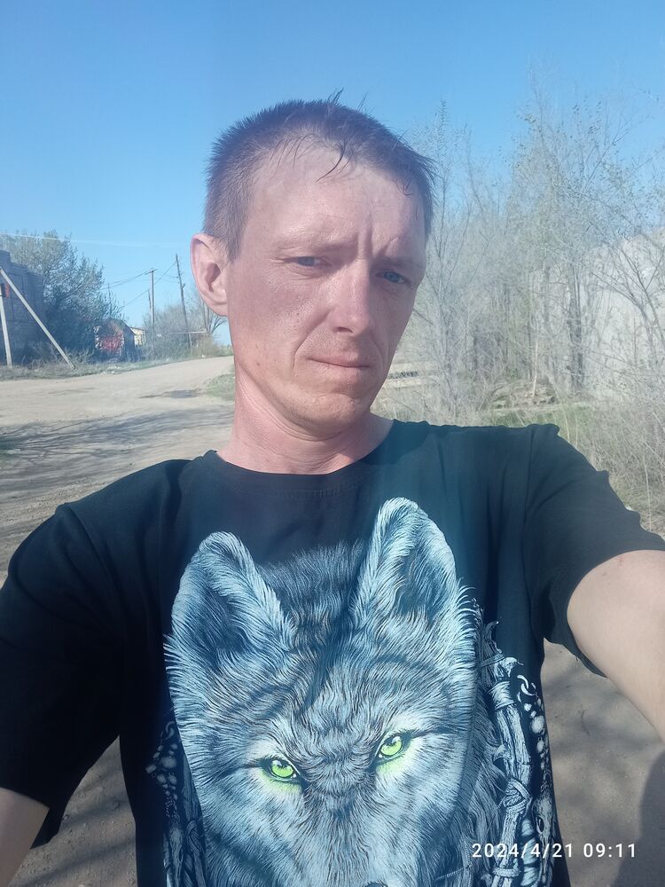  46232515  , 38 ,    