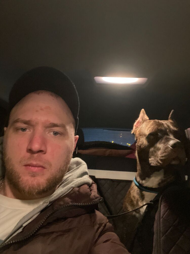 ���� 36891745 ������� �������, 29 ���, ���� ���������� � �������������