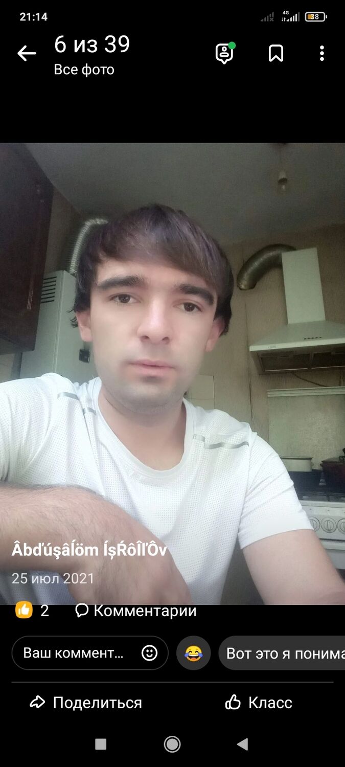  -,   Salom, 31 ,   ,   