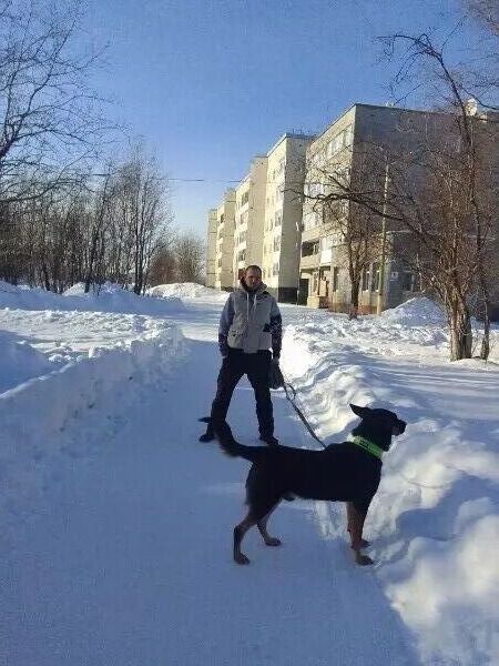 ���� 55720075 ������� �����, 33 ����, ���� ���������� � ���������