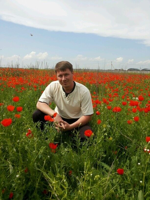 ���������� ������, ���� ������� ���������, 45 ���, ������������ 